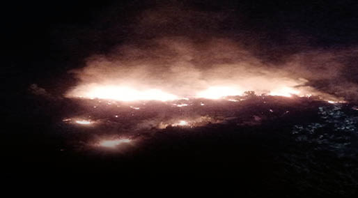 Antalya'daki orman yangınında 7 dekarlık alan zarar gördü