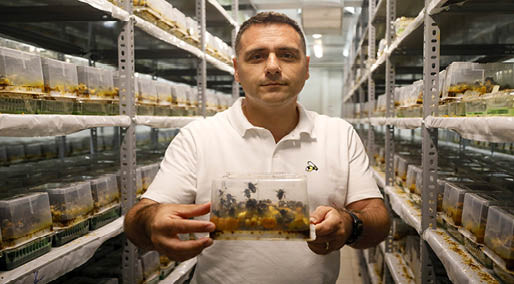 ANTALYA'dan 25 ülkeye 'bombus arısı’ ihracatı