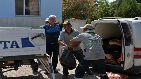 Aracında 1,5 ton tek tırnaklı hayvan eti çıktı; ‘akrabalarıma dağıtacaktım’ dedi