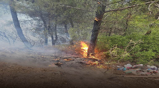 Aydın’da yıldırım kaynaklı 7 noktada çıkan yangınlarda 10 dönüm alan zarar gördü