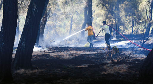 Balıkesir’deki orman yangını, 13 saatte kontrol altına alındı