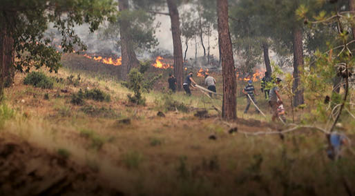 Denizli'deki orman yangını 2'nci günde kontrol altına alındı