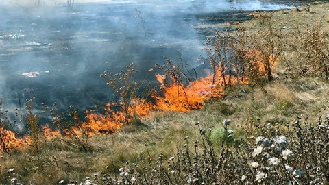 Edirne'de otlukta yangın; ekipler ve mahalleli seferber oldu