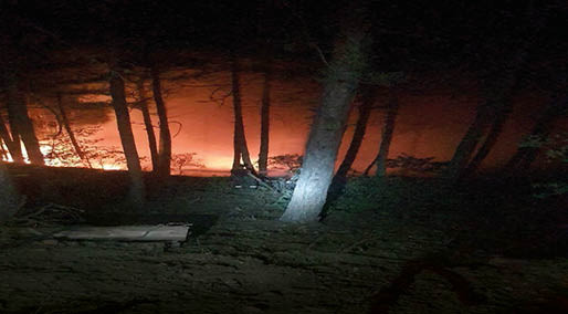 Evde çıkan yangın, ormana sıçradı; 35 dekar alan zarar gördü
