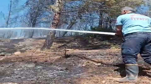 Gaziantep'teki orman yangını 1 saatte söndürüldü
