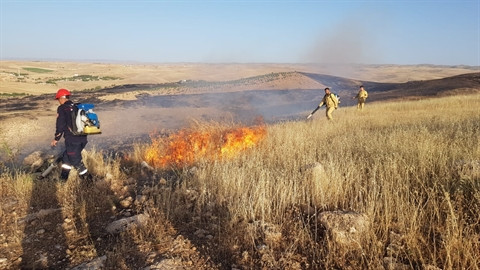 Mardin'in örtü yangınları; 25 hektarlık alan zarar gördü