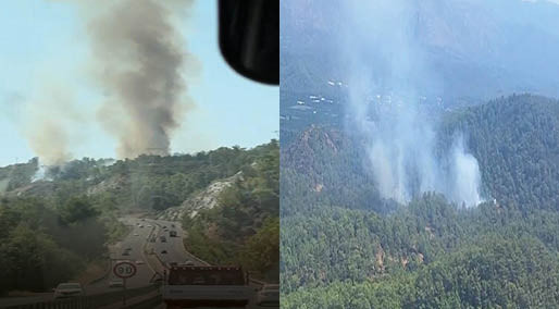 Muğla'da orman yangını