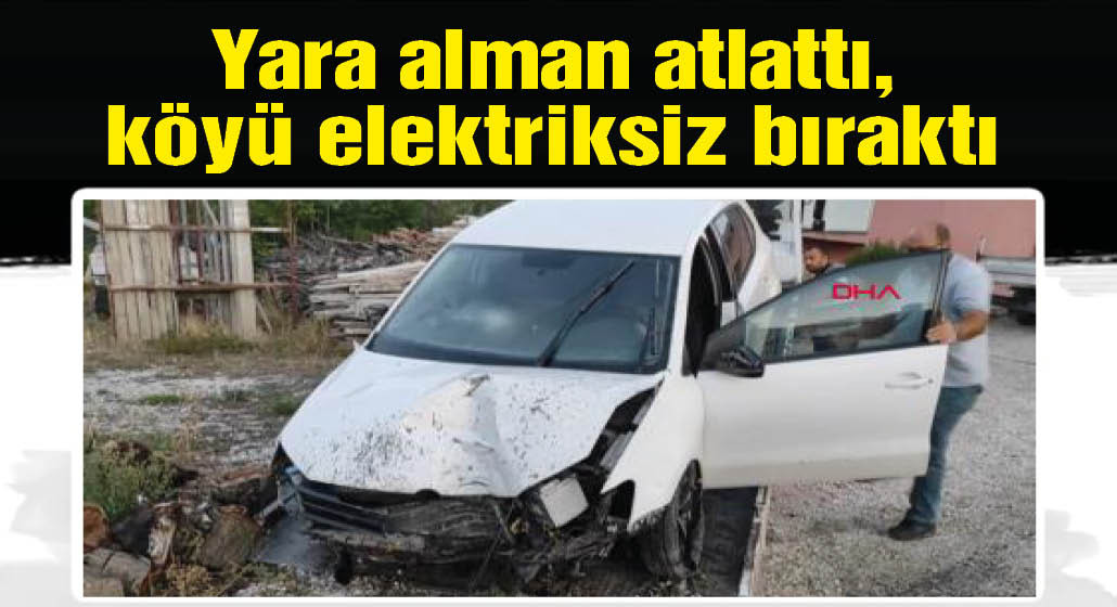 Otomobil direği devirdi, köy elektriksiz kaldı