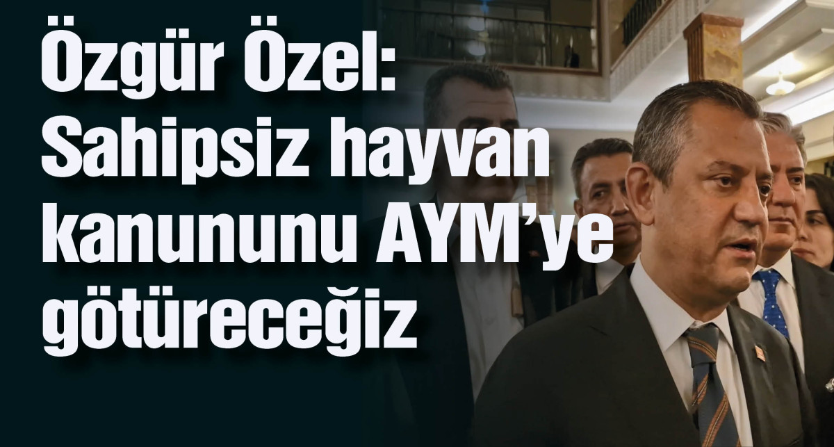 Özgür Özel: Sahipsiz hayvan kanununu AYM'ye götüreceğiz