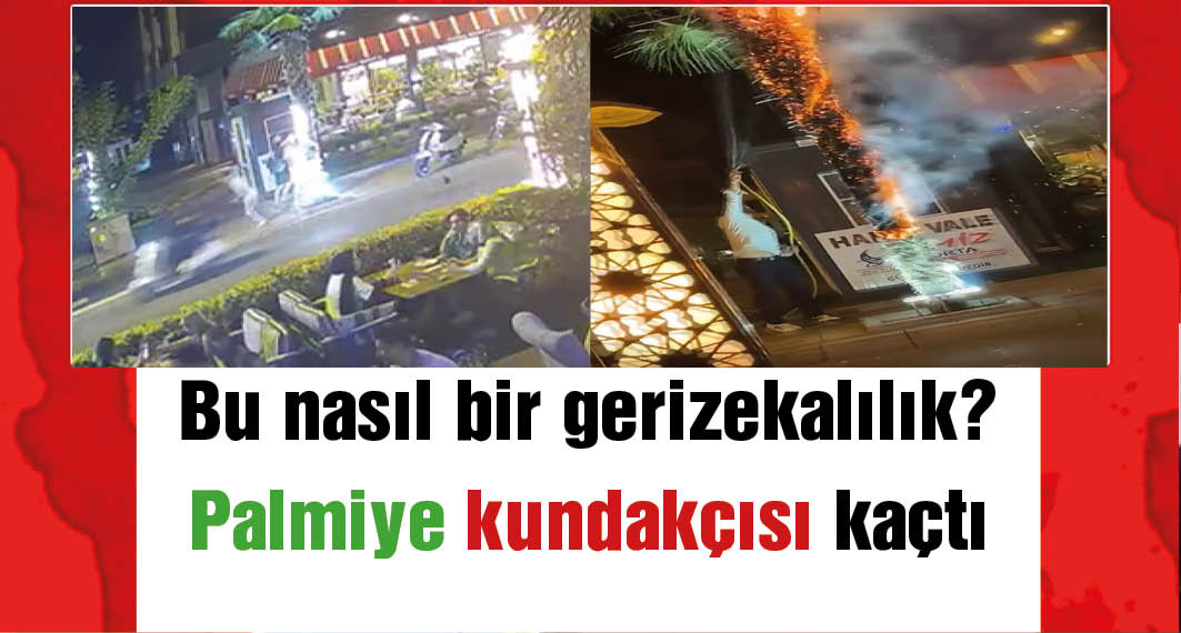 Palmiye ağacını ateşe verip koştu