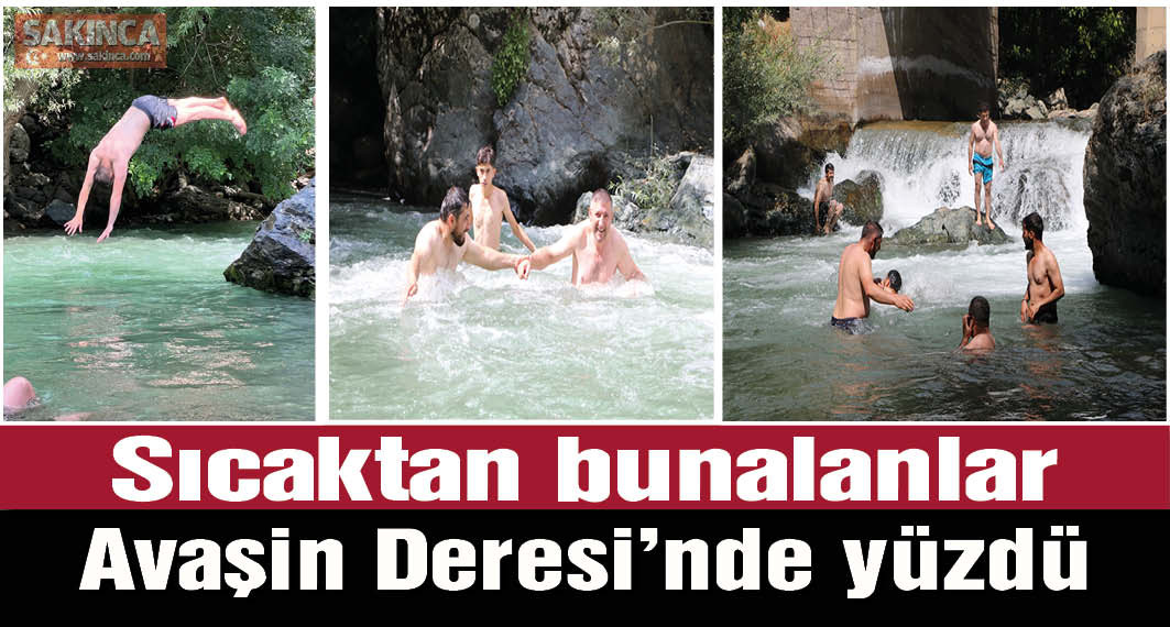 Sıcaktan bunalanlar, Dağlıca'daki Avaşin Deresi'nde yüzdü