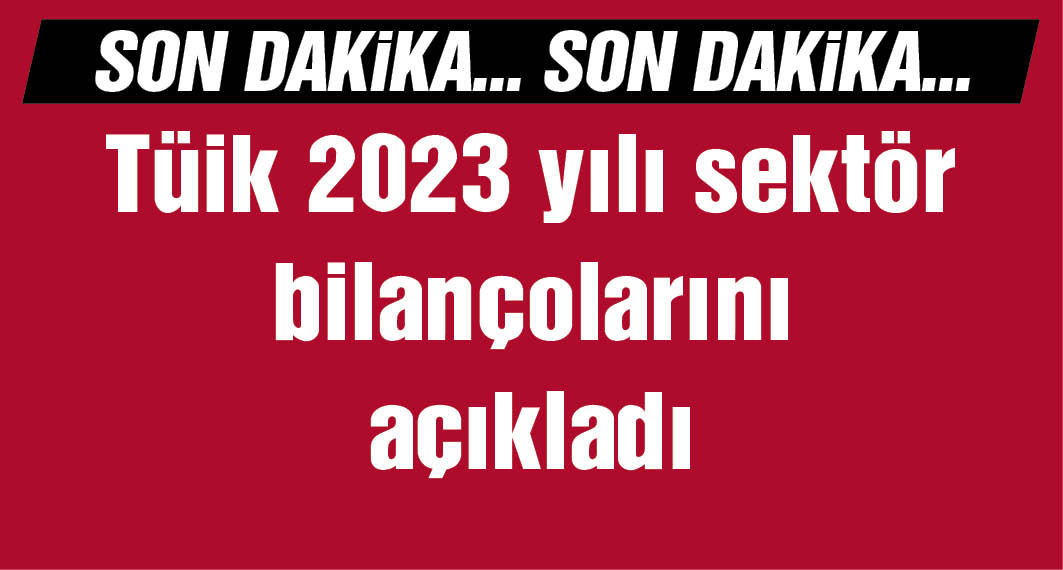 TÜİK: 2023'te firmaların aktif büyüklüğü 39,4 trilyon lira oldu