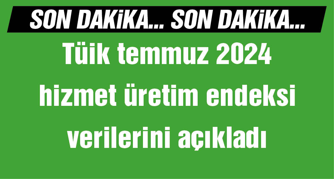 TÜİK: Hizmet üretimi yıllık yüzde 0,1 arttı