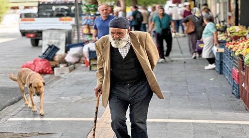 Yaşam süresinin en yüksek olduğu il Tunceli; sırrı doğa ve doğal ürünler