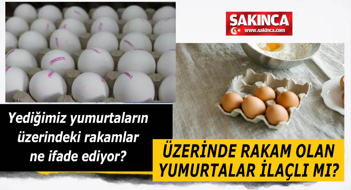 Yediğimiz yumurtaların üzerindeki rakamlar ne ifade ediyor? Üzerinde rakam olan yumurtalar ilaçlı mı?